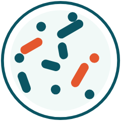 Illustration of a petri dish with rod-shaped and round bacteria, some shown in orange to represent resistant bacteria